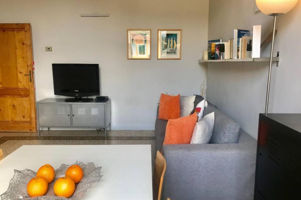 Sunny Top Floor In San Frediano فلورنس المظهر الخارجي الصورة