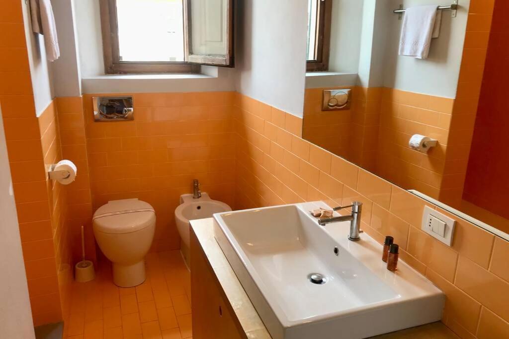 Sunny Top Floor In San Frediano فلورنس المظهر الخارجي الصورة