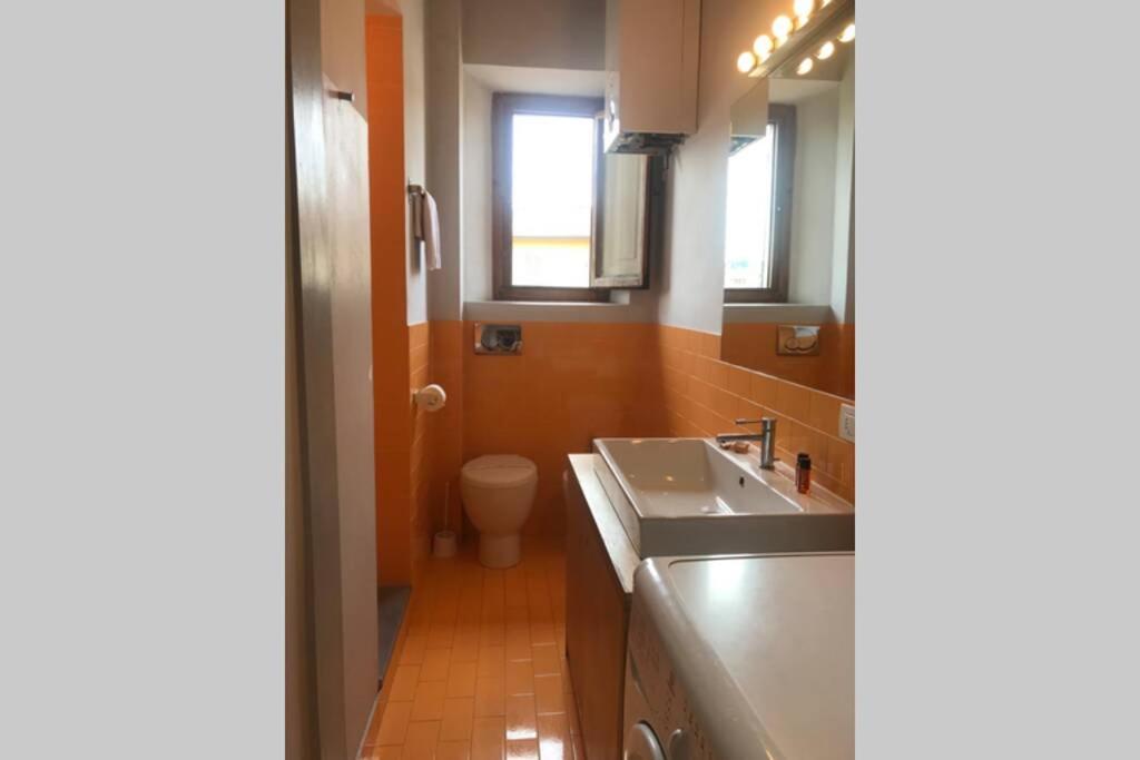 Sunny Top Floor In San Frediano فلورنس المظهر الخارجي الصورة